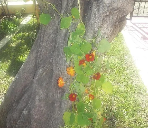 Fotini's 2 Apartment Toroni