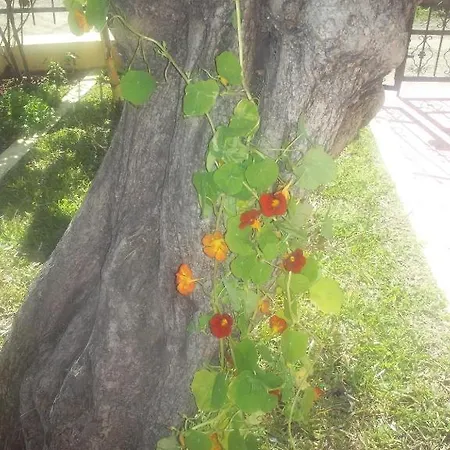 Fotini's 2 Apartament Torone