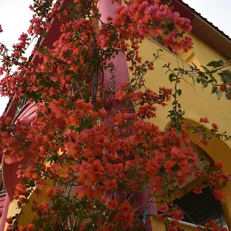 Apartament Fotini's 2 Torone